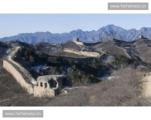 骆在DOTA2赛场的成长之路与他如何以智慧与毅力铸就传奇 骆在DOTA2赛场的成长之路与他如何以智慧与毅力铸就传奇